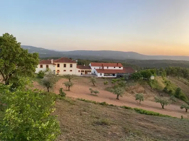Buitenzijde van A Casa Amarela tussen de heuvels en olijfbomen